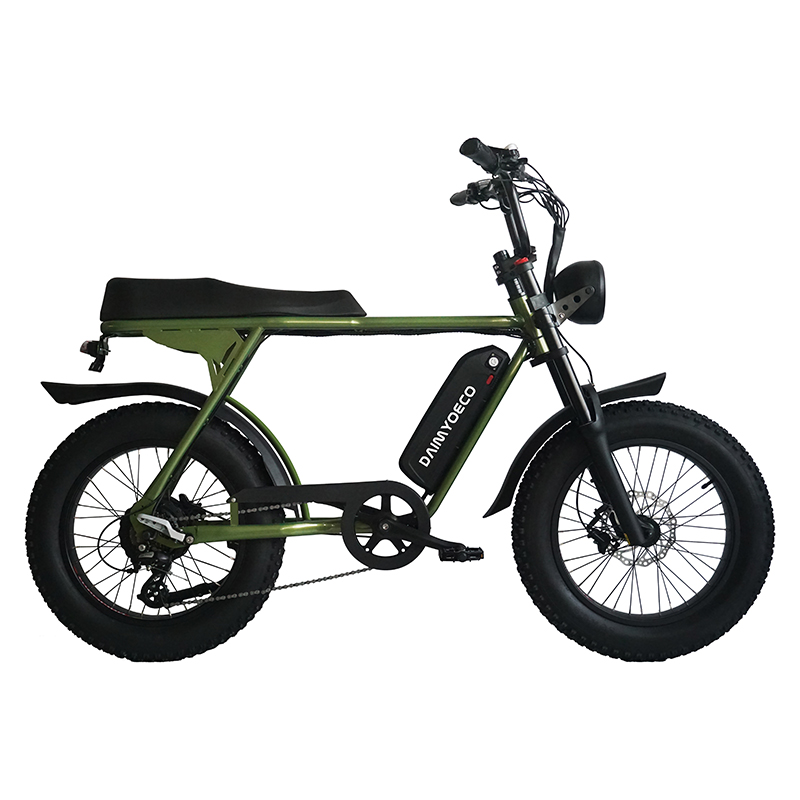 2023 New model fat tire ebike big power electric bicycle